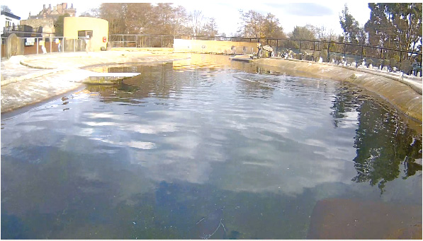 Edinburgh Zoo / Scotland