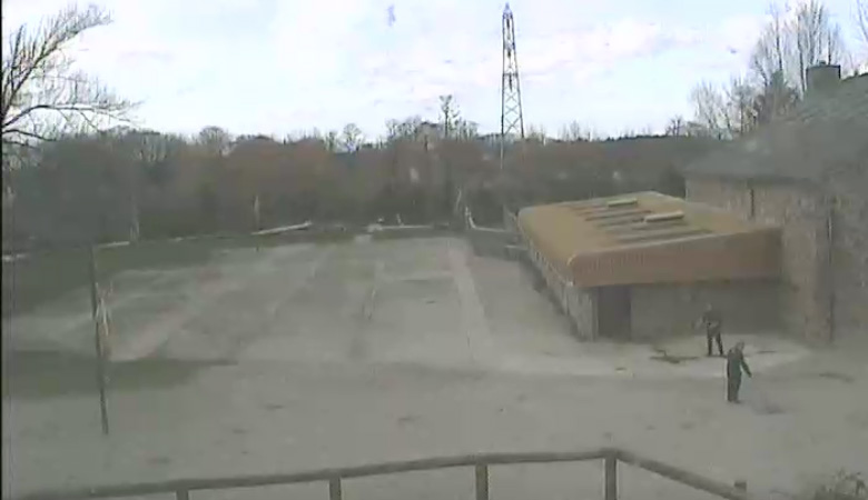 Chester ZOO / Great Britain